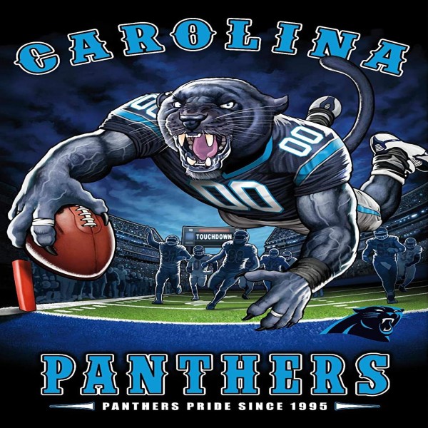 TS011 Carolina Panthers